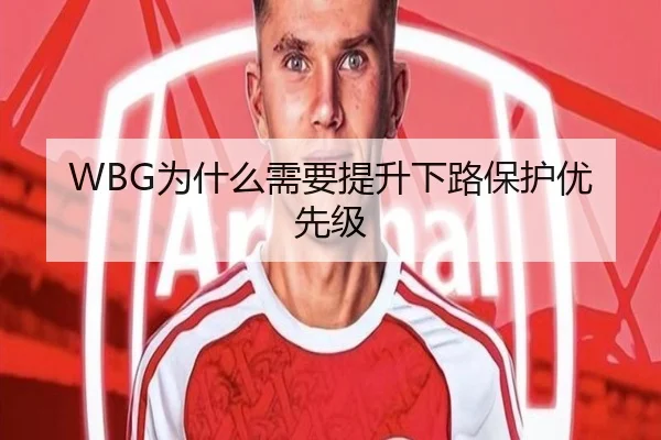 WBG为什么需要提升下路保护优先级