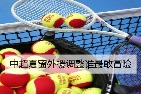 中超夏窗外援调整谁最敢冒险